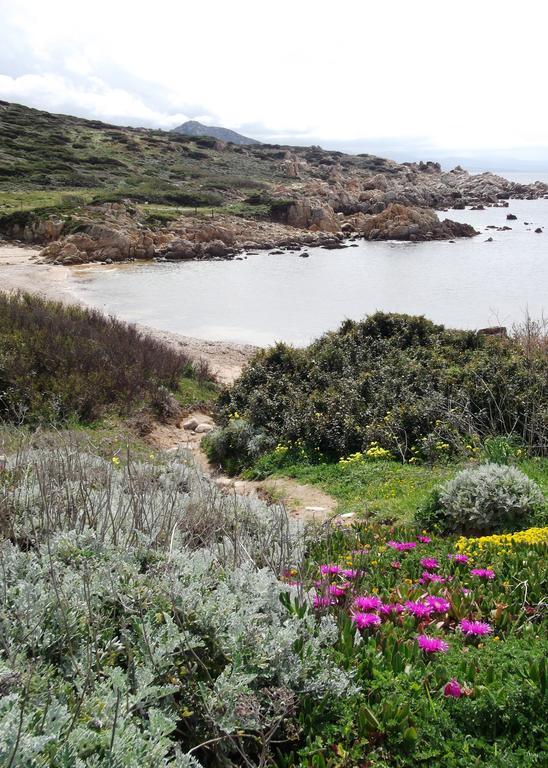 Villetta Cenni Santa Teresa Gallura Buitenkant foto