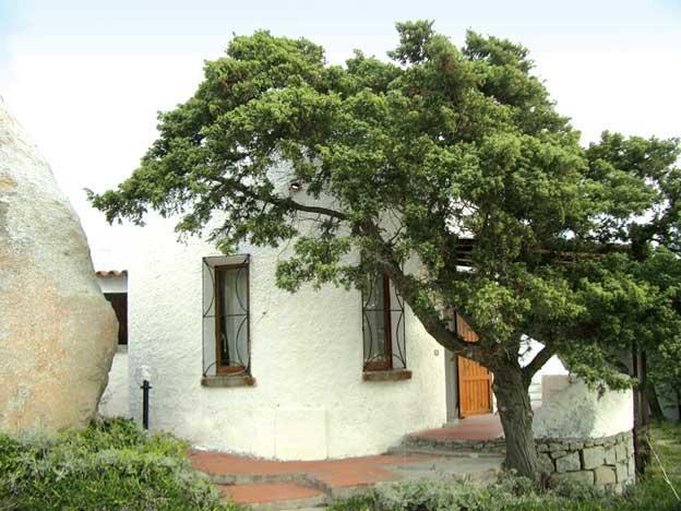 Villetta Cenni Santa Teresa Gallura Buitenkant foto